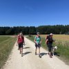 Wentalwanderung